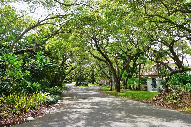 Tree-shaded residential street in Coral Gables, Florida